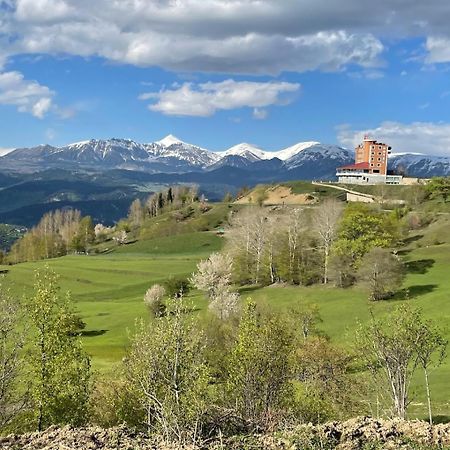Black Forest Hotel Savsat Екстер'єр фото