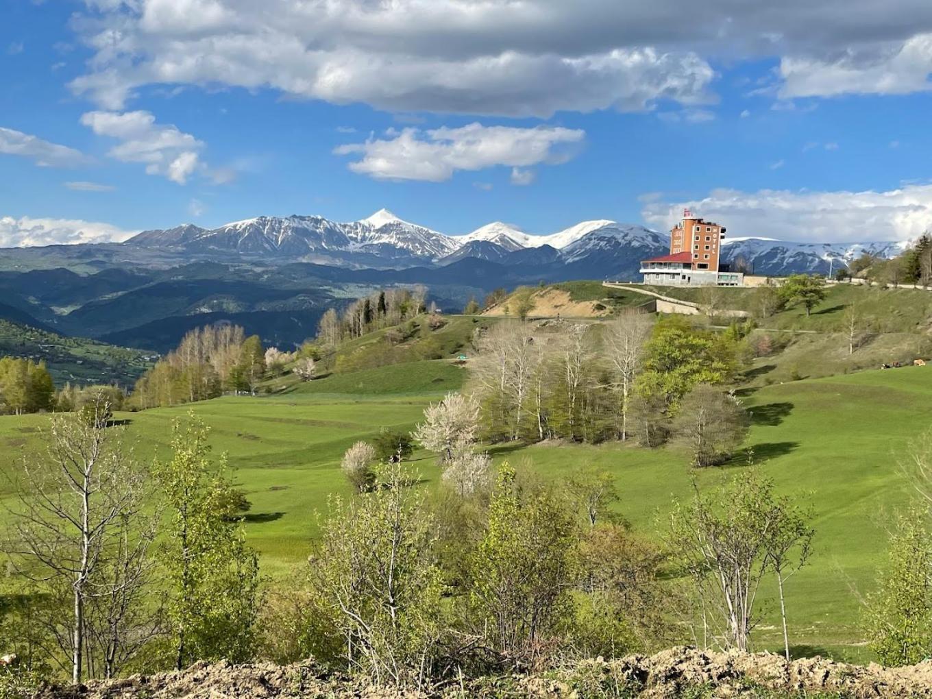 Black Forest Hotel Savsat Екстер'єр фото