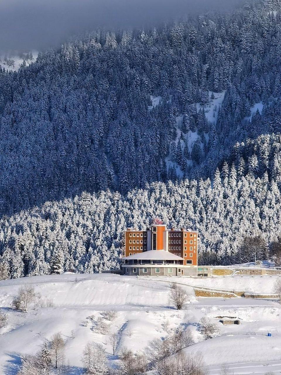 Black Forest Hotel Savsat Екстер'єр фото