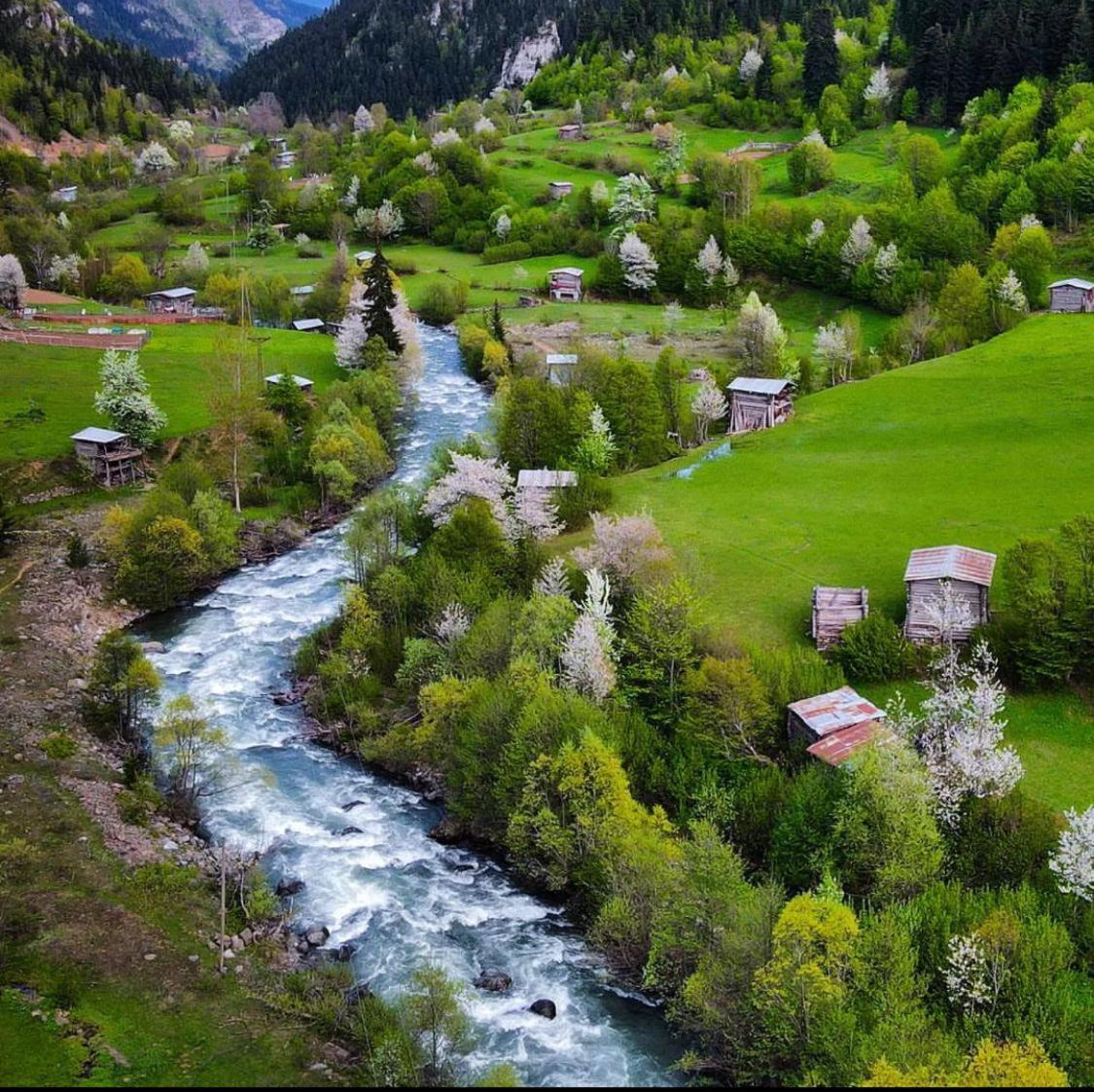Black Forest Hotel Savsat Екстер'єр фото