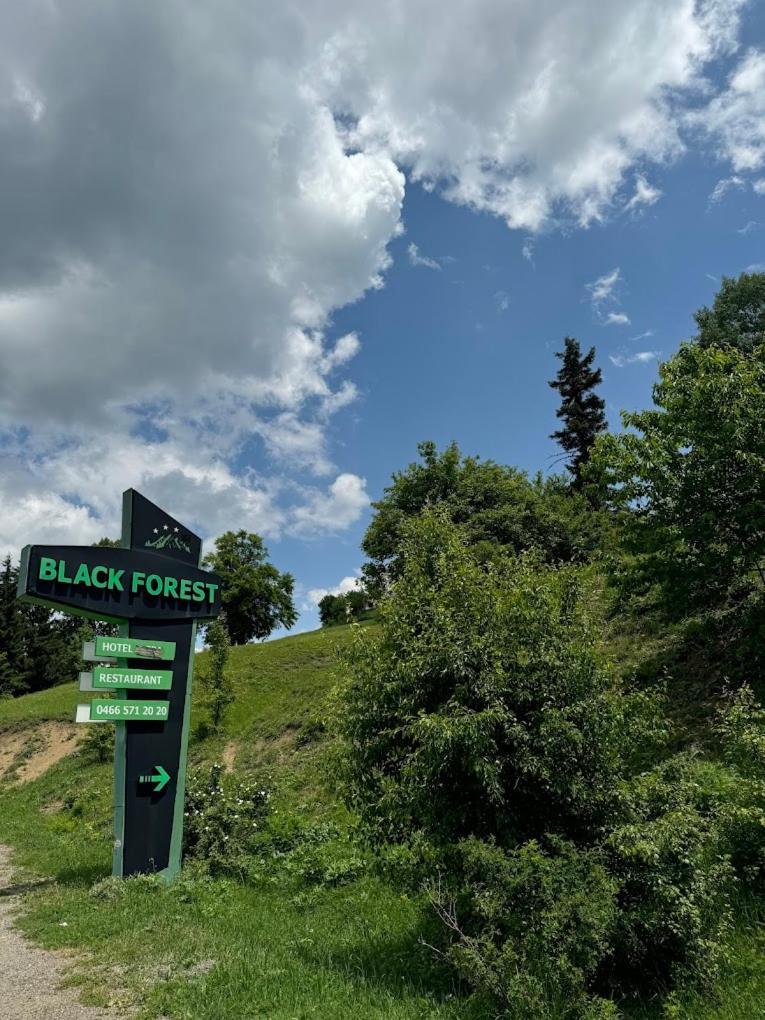 Black Forest Hotel Savsat Екстер'єр фото