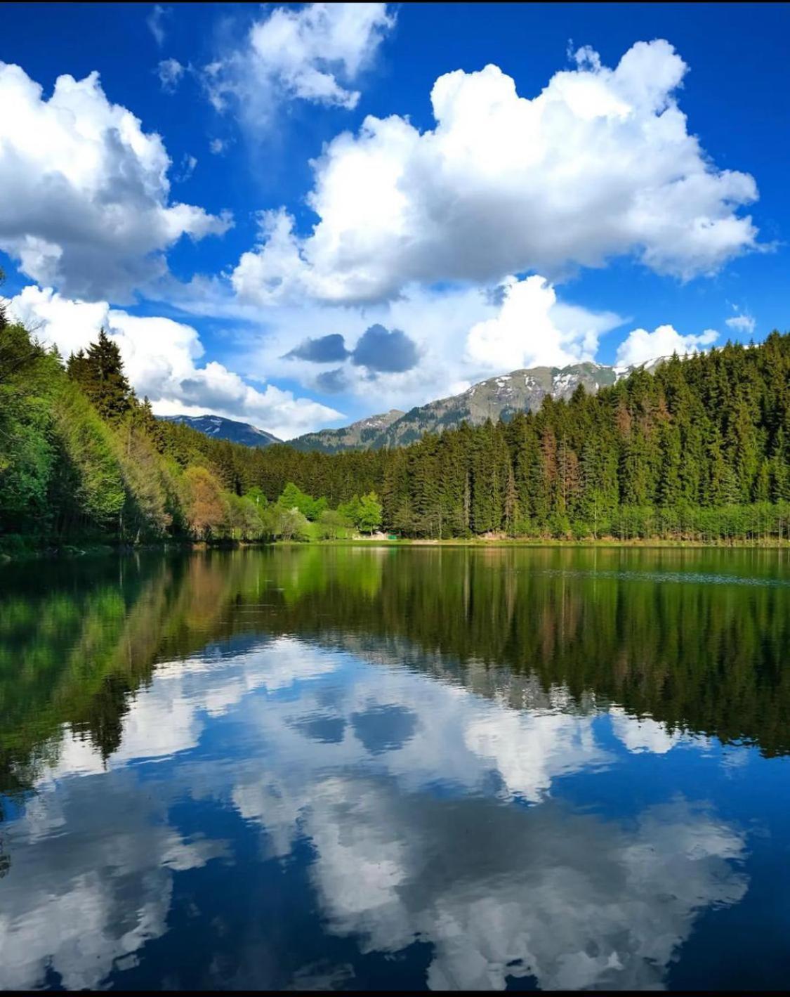 Black Forest Hotel Savsat Екстер'єр фото