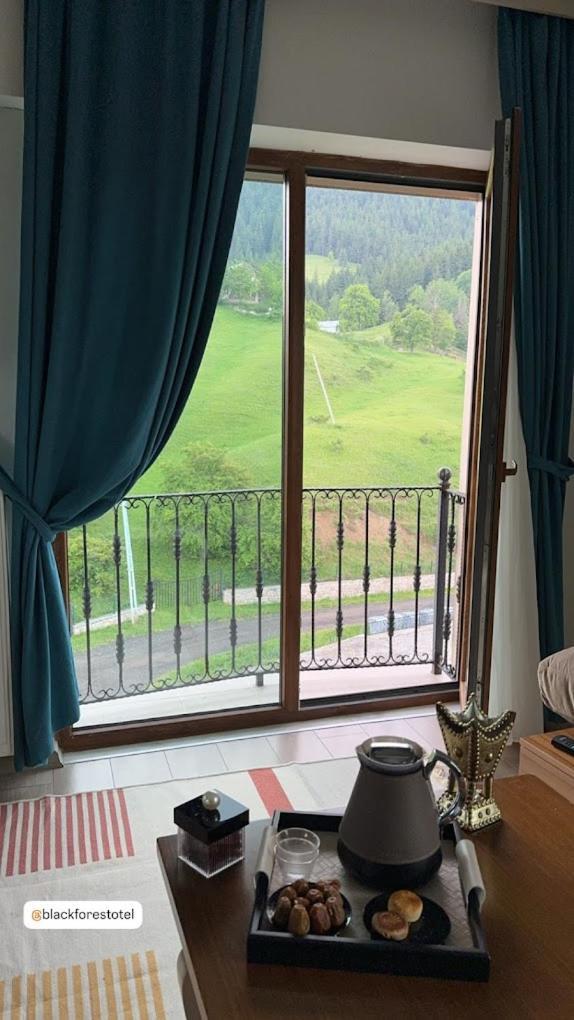 Black Forest Hotel Savsat Екстер'єр фото