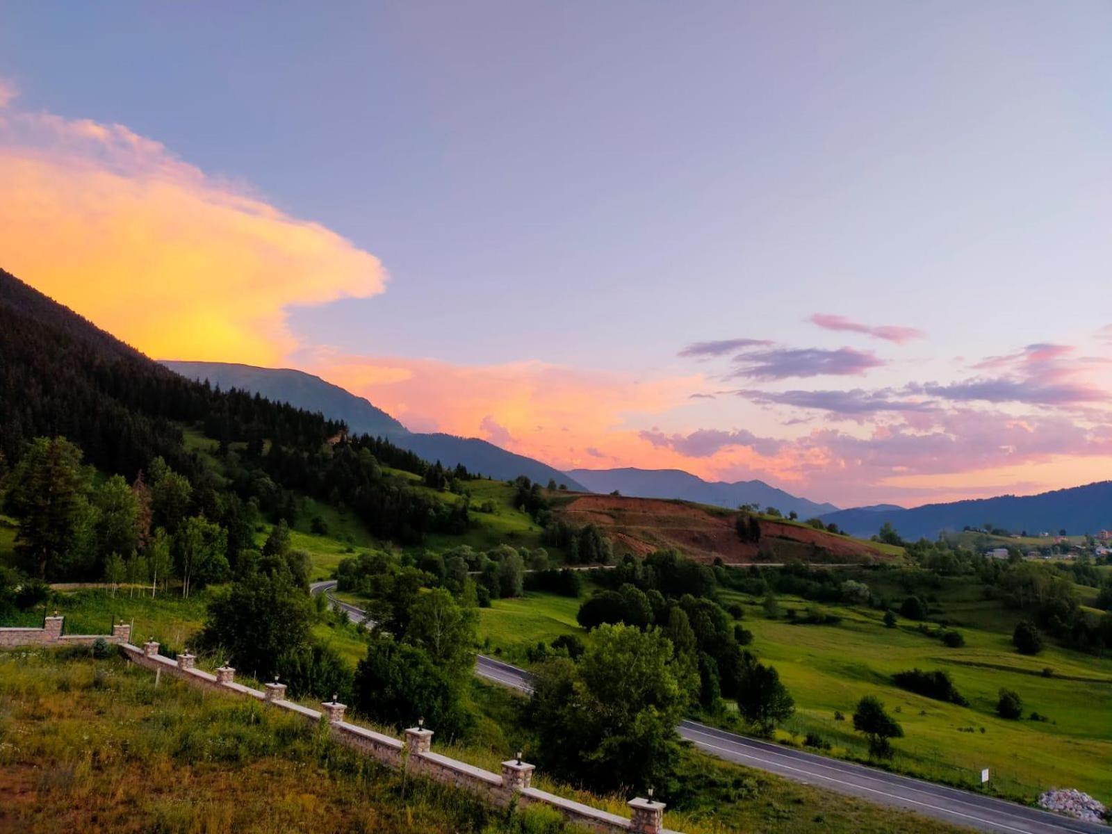 Black Forest Hotel Savsat Екстер'єр фото