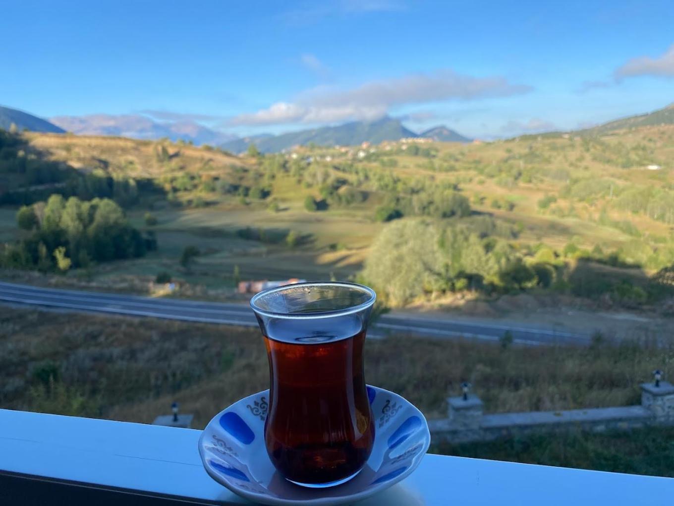 Black Forest Hotel Savsat Екстер'єр фото