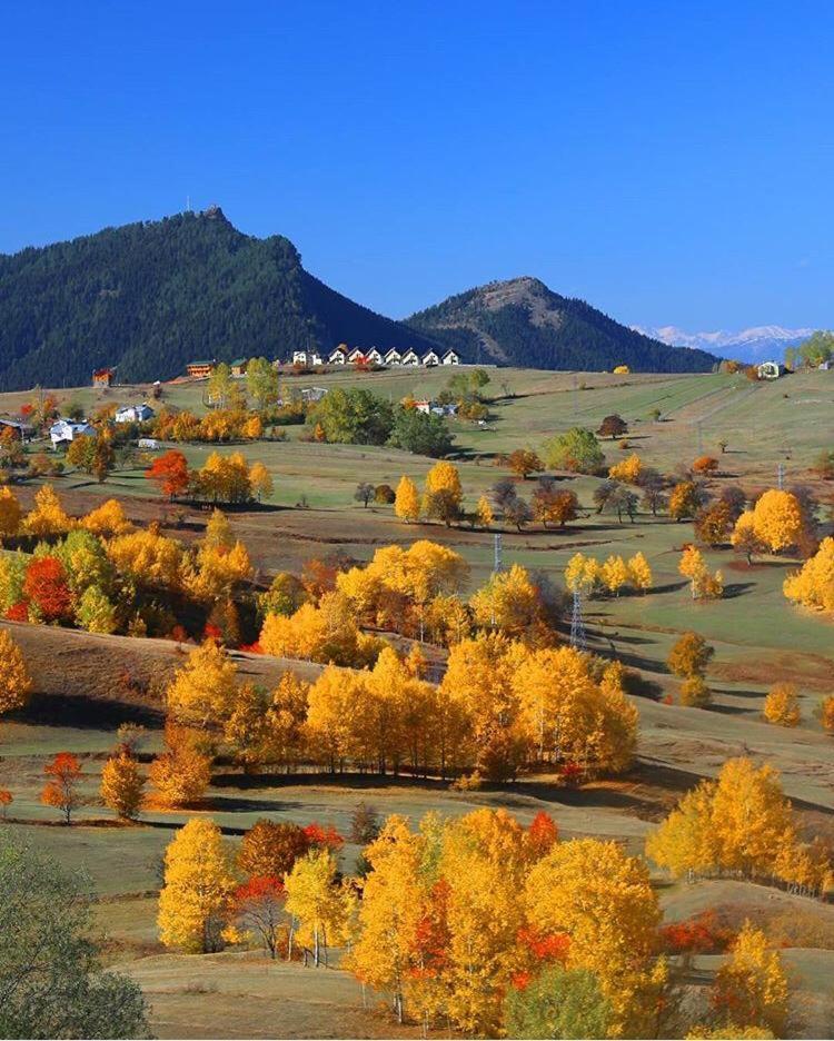Black Forest Hotel Savsat Екстер'єр фото
