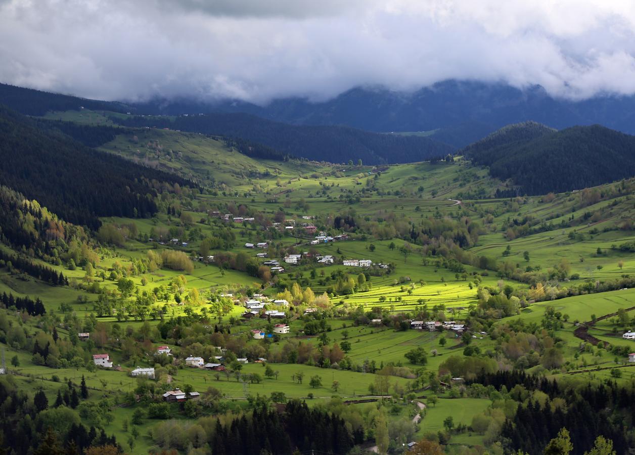 Black Forest Hotel Savsat Екстер'єр фото